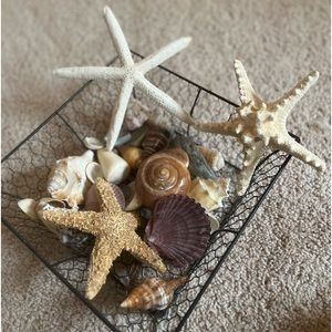 Wired basket with gorgeous shells